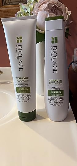 Biolage Recovery Shampoo & Conditioner Set