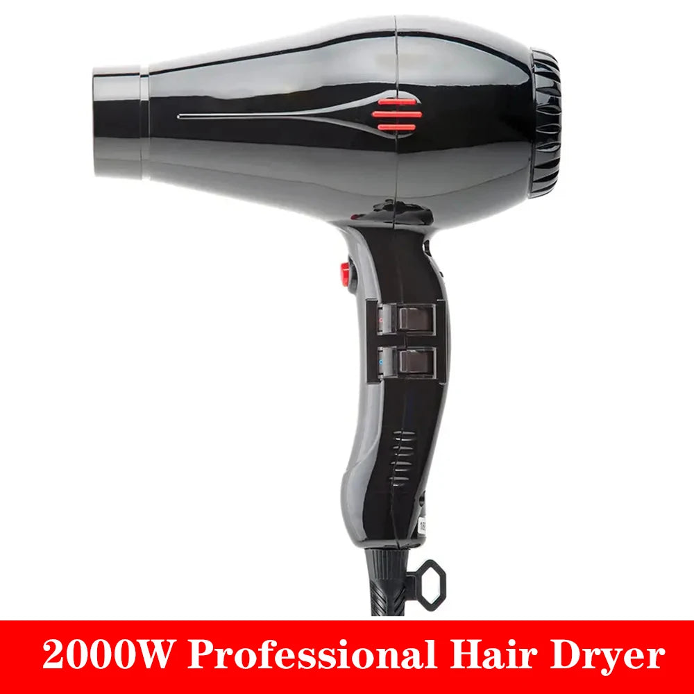 Compact Professional Hair Dryer 2000W Blower with Concentrator 2 Speed 3 Heat Settings Cool Shut Button Lightweight Strong Winds